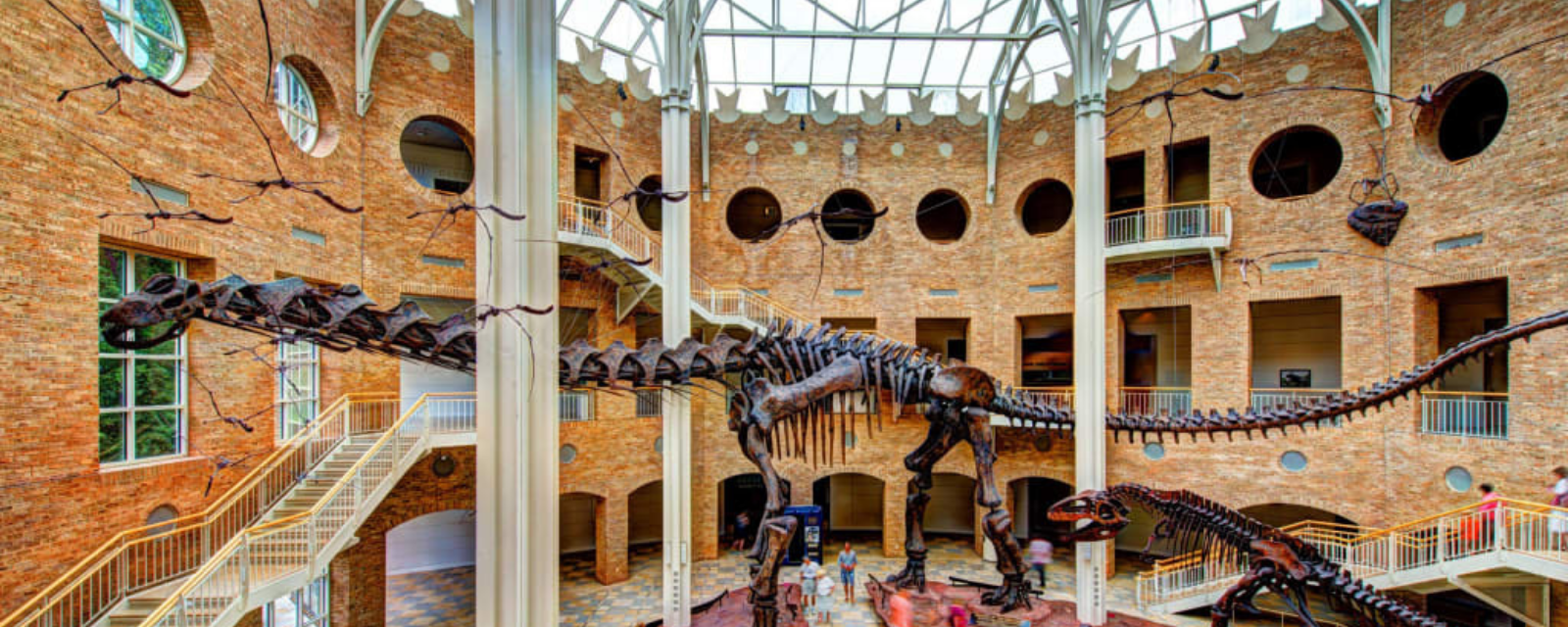 Fernbank Museum Of Natural History