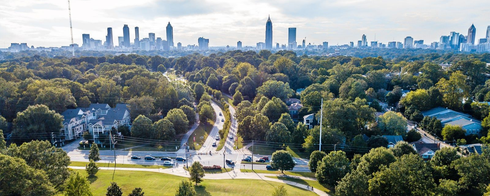 Tree Tour: The Living Legacy of Freedom Park