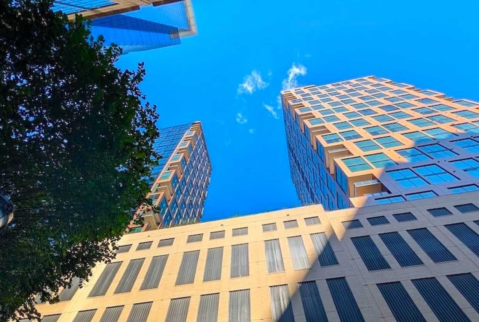 1081 Juniper Street Building 1