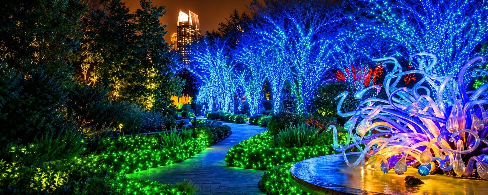 Holiday lights at the Atlanta botanical gardens